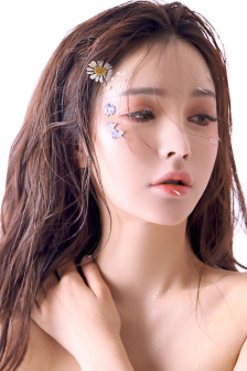 花蝴蝶与野玫瑰